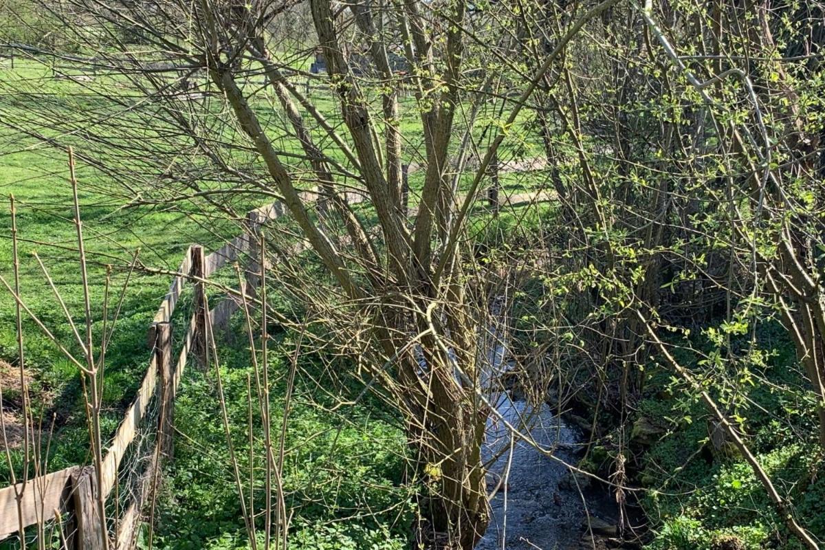 Pmr, En Pleine Nature Et Proche Des Thermes De Vittel Et Contrexeville * Remoncourt