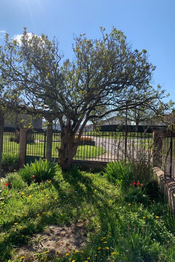 Apartment Pmr, En Pleine Nature Et Proche Des Thermes De Vittel Et Contrexeville