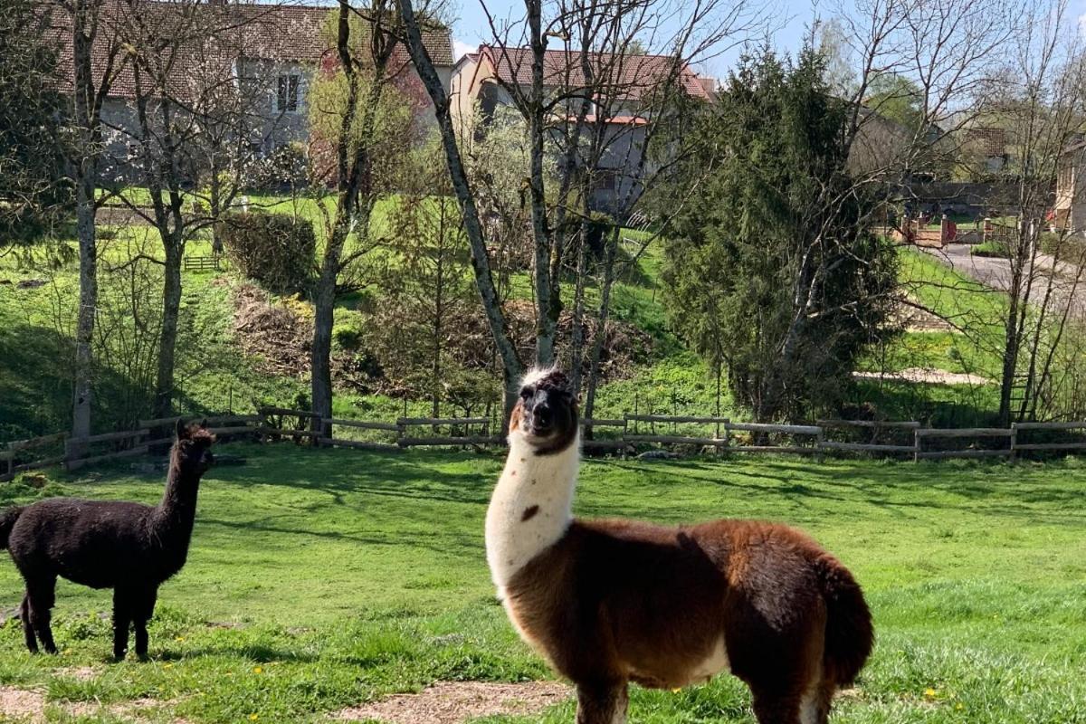 Pmr, En Pleine Nature Et Proche Des Thermes De Vittel Et Contrexeville * Remoncourt